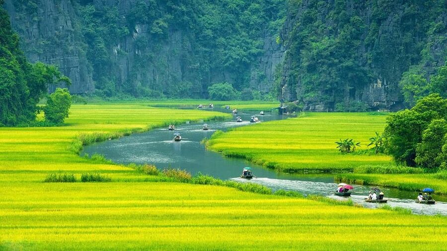 Ninh Binh Motorbike Tour - Thung Nham’s caves, lakes, and old banyan tree