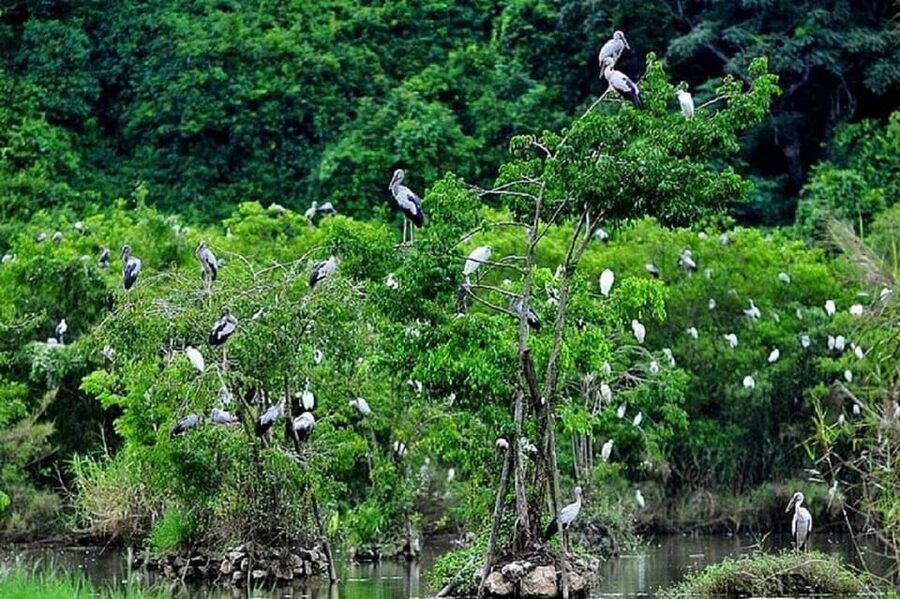 Ninh Binh Motorbike Tour - Who will enjoy this day most