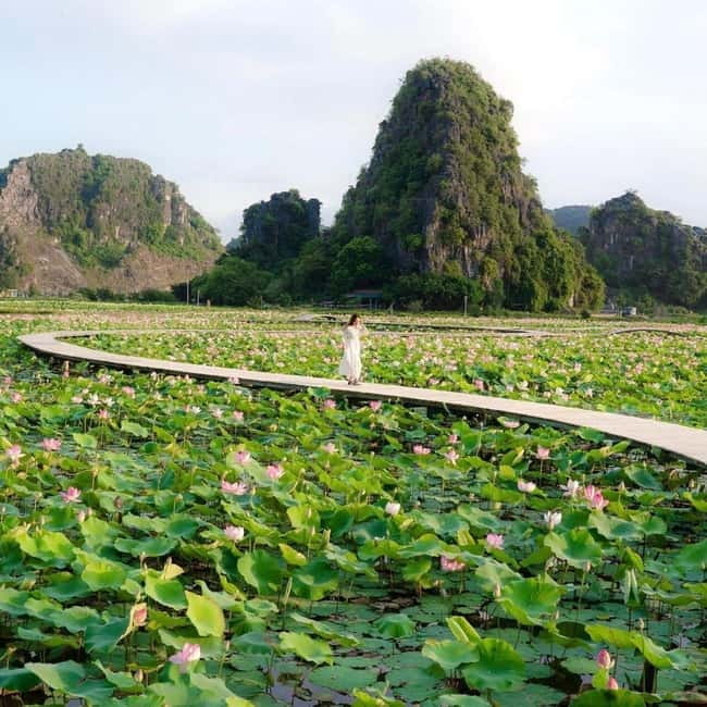 Ninh Binh Sunset Motorbike: Mua Cave, Coi Khe & Hoa Lu Town - Why this motorbike tour works so well at sunset