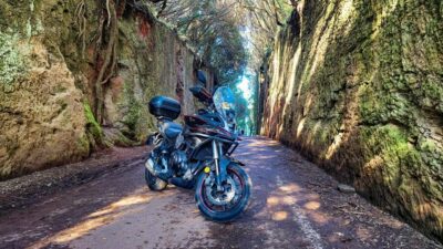 Puerto de la Cruz Motorbike tour through Teide National Park