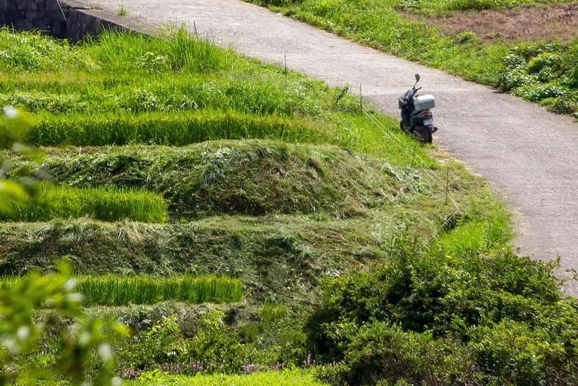Rental Motorcycle Tour in Kyoto: Arashiyama & West Temple - Key points at a glance