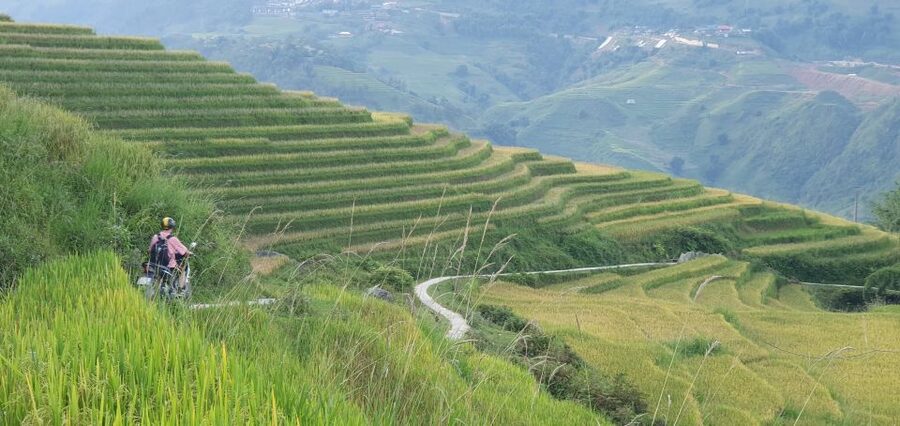 Sa Pa: Guided Motorbike Tour to Ethnic Villages with Lunch - Muong Hoa Valley, terrace fields, and the Dzay community