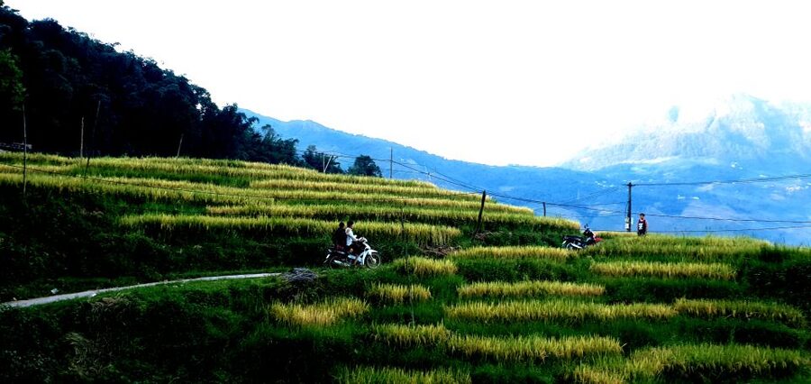 Sa Pa: Guided Motorbike Tour to Ethnic Villages with Lunch - Riding arrangements and comfort
