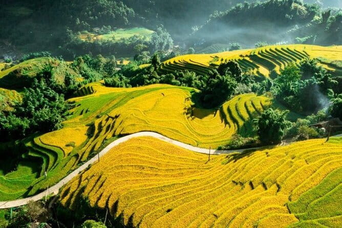 Sapa Adventure Motorbike Tour With Local Guide - Muong Hoa Valley, stream time, and village life