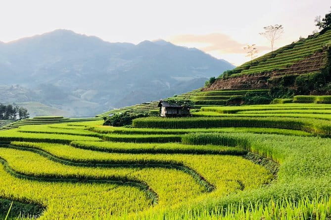 Sapa Adventure Motorbike Tour With Local Guide - Lunch and what the $65 price covers