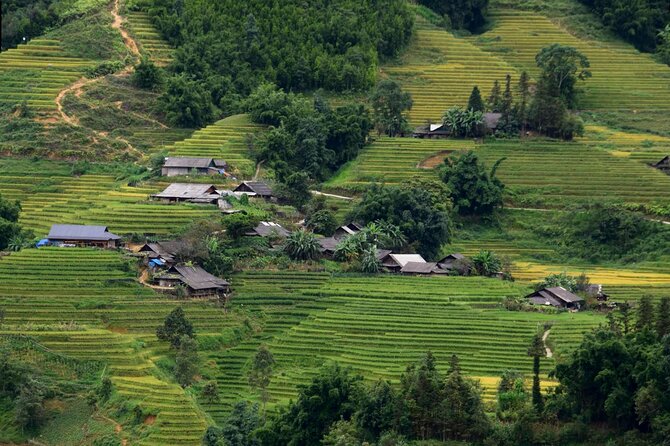 Sapa Half Day Private Car or Motorbike Customized Scenic Tour - Guide service and private group advantages