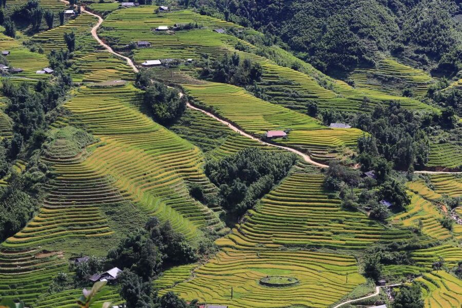 Sapa: Local Exploration on a Guided Motorbike Tour - What the $58 price gets you