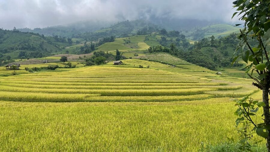 Sapa: Motorbike Tour 1 Day Visit Waterfalls & Local Villages - Muong Hoa Valley and the Black Hmong villages