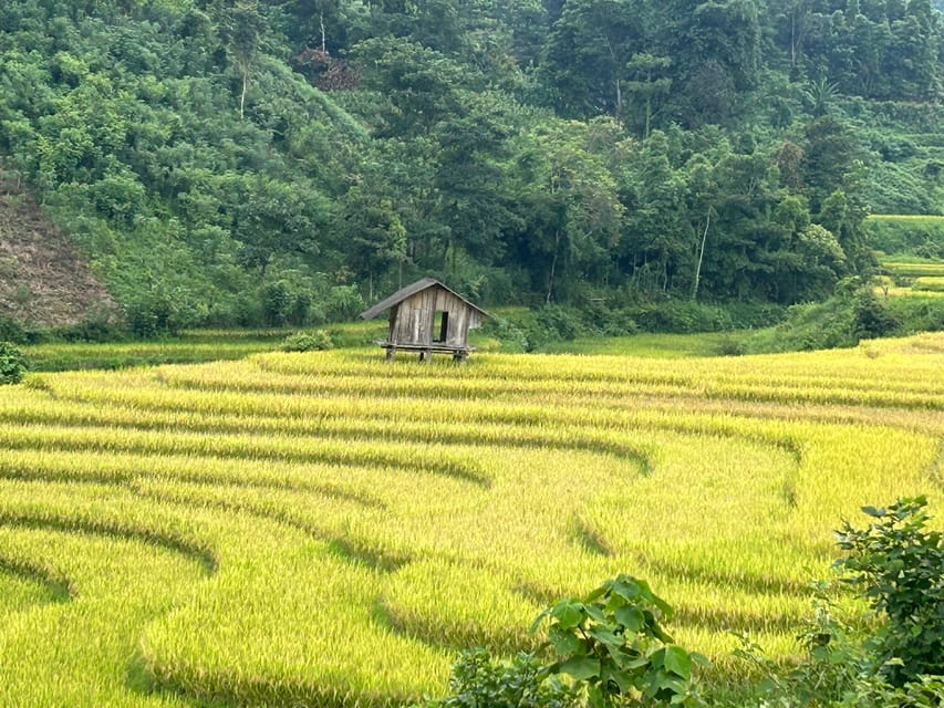 Sapa: Motorbike Tour 1 Day Visit Waterfalls & Local Villages - Lunch in Lao Chai with valley views