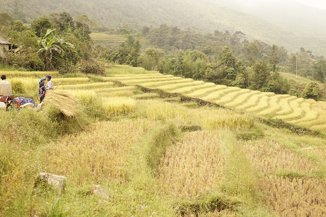 Sapa Motorbike Tour to Dragon Waterfall and Hidden Village - The ride, fitness, and comfort question