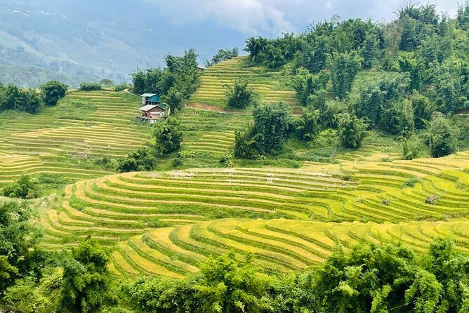 Sapa Motorbike Tour With Local Guide 1 Day - Waterfalls, Villages - Love Waterfall and Tram Ton: more walking in the forest
