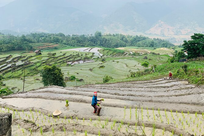 Sapa Motorbike Tour With Local Guide 1 Day - Waterfalls, Villages - Lunch and local contact