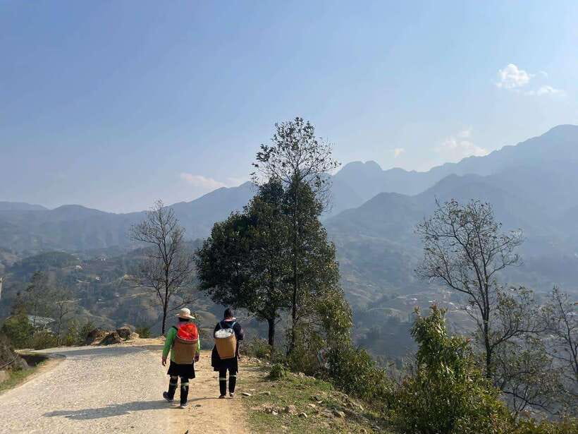 Sapa Silver Waterfall And O Quy Ho Pass Tour By Motorbike - Tea Fields, Buffalo, and Farmers Along O Long