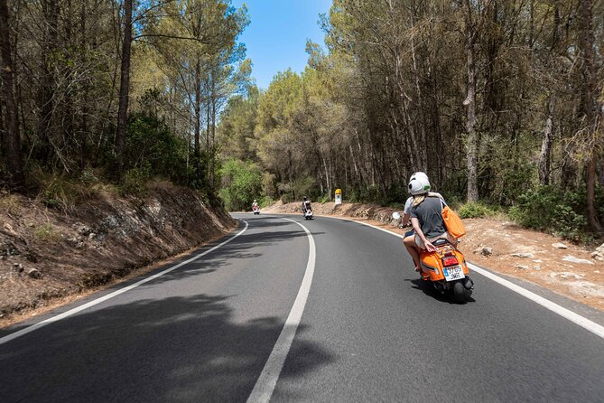 Scooter and Motorbike Rental to Explore Mallorca - Choosing between a 50cc and 125cc scooter