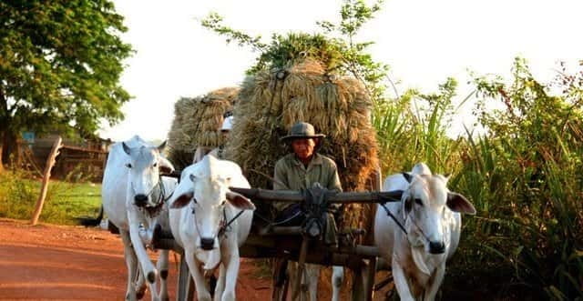 Siem Reap: 3-Hour Ancient Trails Motorbike Tour - Key points at a glance