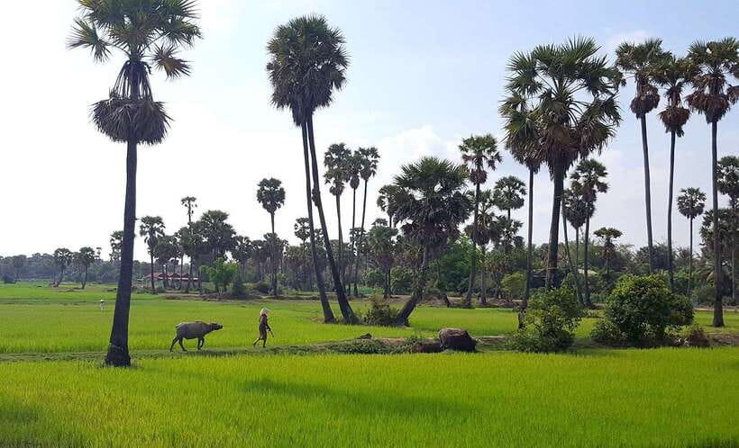 Siem Reap: 3-Hour Ancient Trails Motorbike Tour - Morning or afternoon departure?