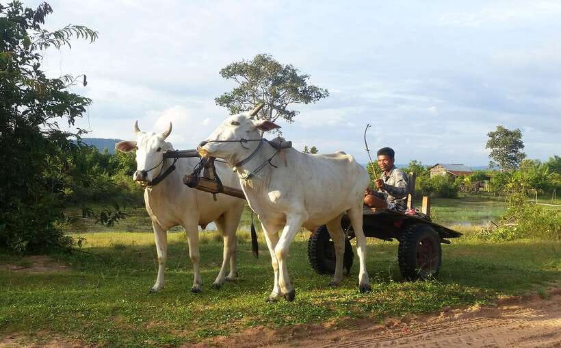 Siem Reap: 6-Hour Easy Rider Motorbike Tour - Chai Village monastery and Phnom Bok views