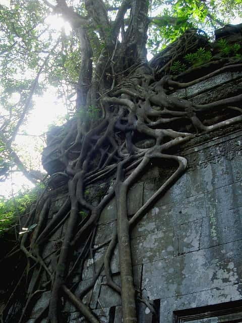 Siem Reap: 8-Hour Forgotten Treasures Motorbike Tour - Beng Mealea, a remote temple with an extra ticket