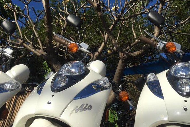 Single Passenger Moped/Scooter - 18+ NO Motorcycle License Needed - Who will get the most from this Maui rental