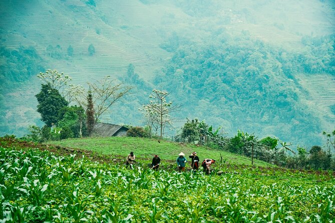 True North Ha Giang Loop Motorbike Tour 4 Days of Adventures - Why four days works well on the Ha Giang Loop