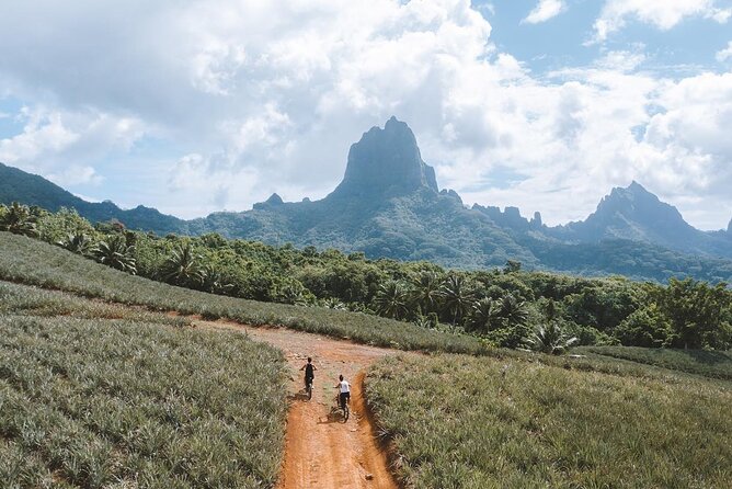 Unique excursion to Moorea on a 100% electric motorbike - Why an electric motorbike suits Moorea