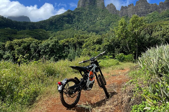 Unique excursion to Moorea on a 100% electric motorbike - Ōpūnohu Lookout at 240 meters
