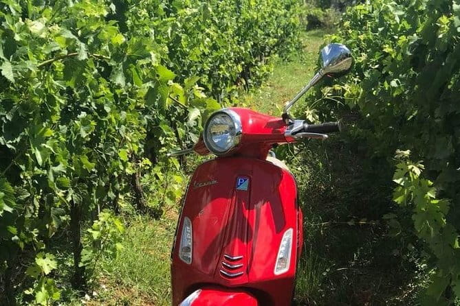 Vespa Motorcycle rental in Florence - What this Florence Vespa rental really offers