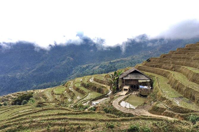 Vietnam Motorbike Tour To Sapa, Mu Cang Chai, Thac Ba-5 Days - Bikes, guides, and the riding style